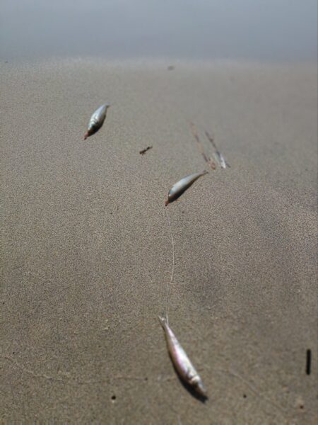 三重釣行4
