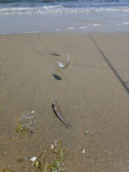 三重釣行5