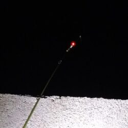 怪魚ハンター【クロアナゴ狙い】やや小ぶり