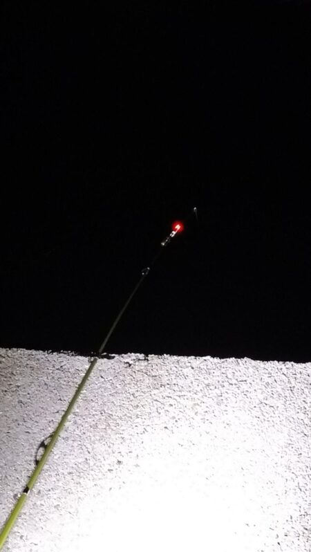 怪魚ハンター【クロアナゴ狙い】やや小ぶり