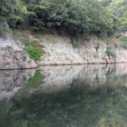 連日の朝活釣行。