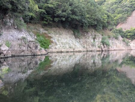 連日の朝活釣行。