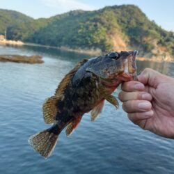 ５目釣り