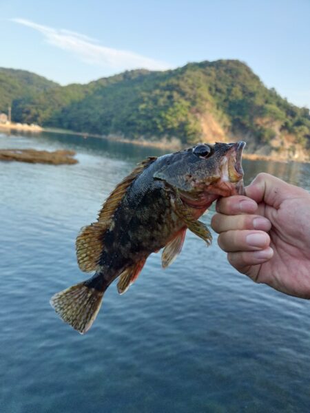 ５目釣り