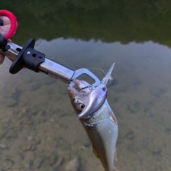 朝活釣行