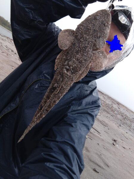 雨の中、マゴチが釣れました!