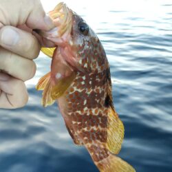 久々の釣り