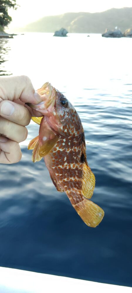 久々の釣り