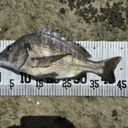 イチノ兄弟、釣果！