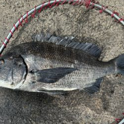 イチノ兄弟、釣果!