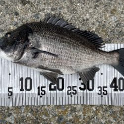 イチノ兄弟、釣果！