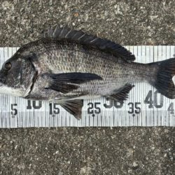 イチノ兄弟、釣果！