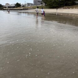 涼しくて快適な釣り日和
