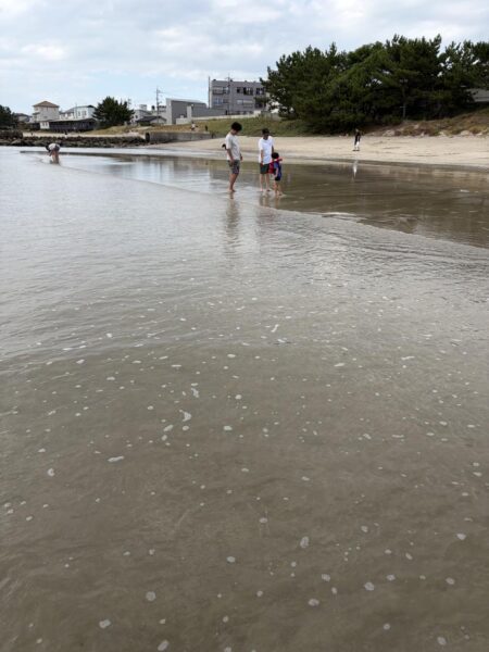 涼しくて快適な釣り日和