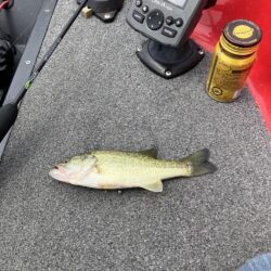 ひさびさの琵琶湖