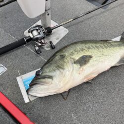 北山田63cm、57cm！！！