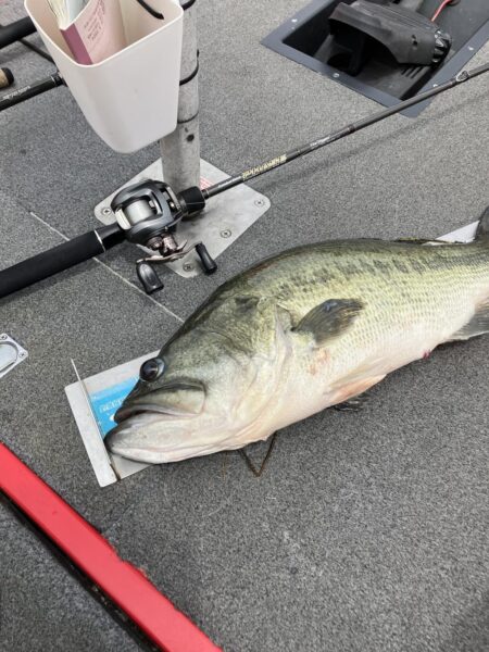 北山田63cm、57cm！！！
