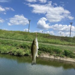夏休み釣行2日目