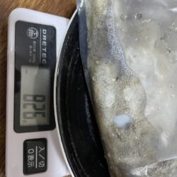 今シーズン最大でもキロ無し