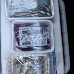 太刀魚釣り