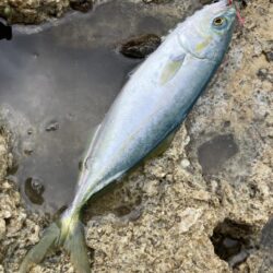 京丹後ライトロックショアジギング。水潮。。