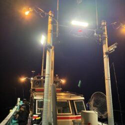 今期5回目イカメタル