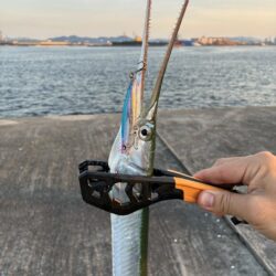 黒ではなく黄でした。