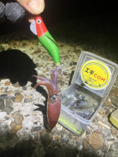 ケンサキ🦑開幕！(^^)