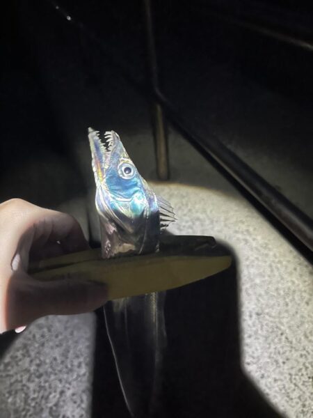 地合い長め 当たり多し