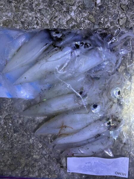 釣れました