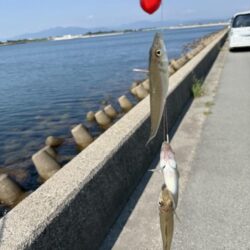 シロギス釣り