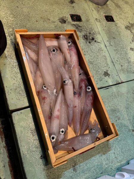 小浜イカメタル