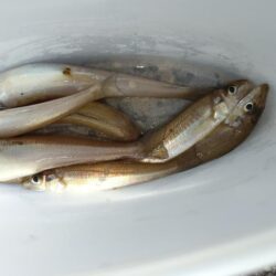 高波注意！