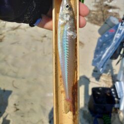 三重釣行4