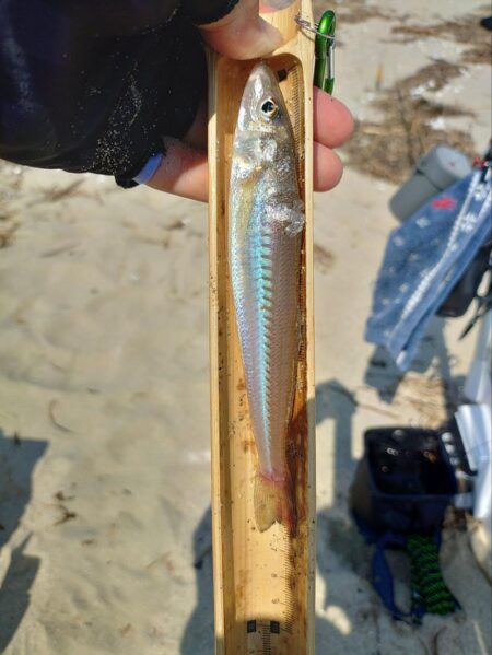 三重釣行4