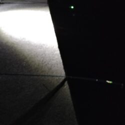 怪魚ハンター【クロアナゴ狙い】やや小ぶり