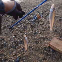 遠投投げ釣り