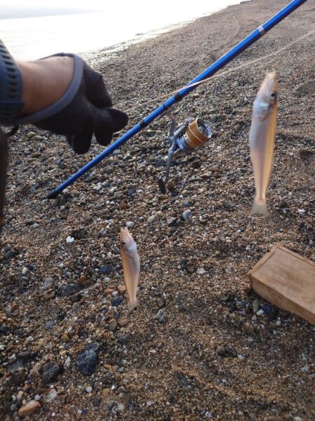 遠投投げ釣り