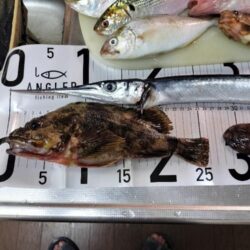 ５目釣り