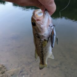 朝活釣行