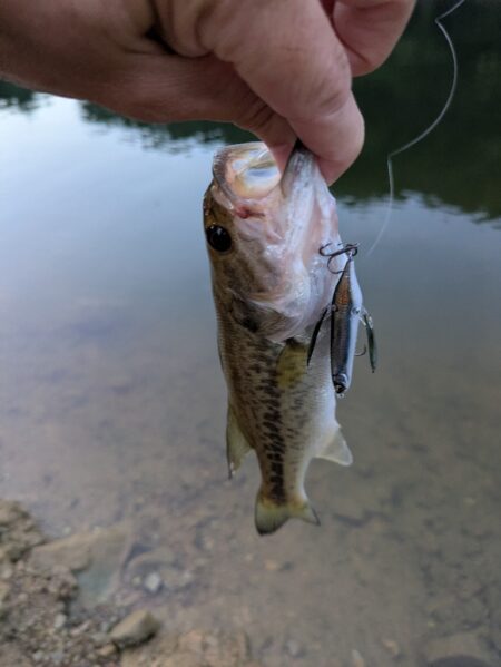 朝活釣行