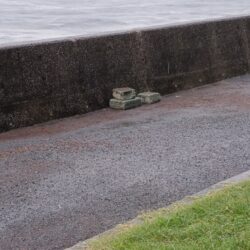 一日雨の予報