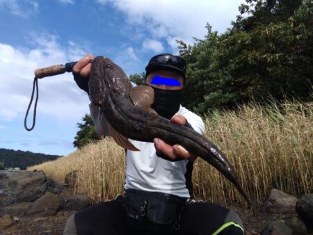 デイゲームでマゴチ50up釣れました!