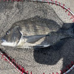 イチノ兄弟、釣果！