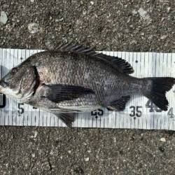 イチノ兄弟、釣果！