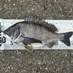 イチノ兄弟、釣果！