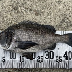 イチノ兄弟、釣果！