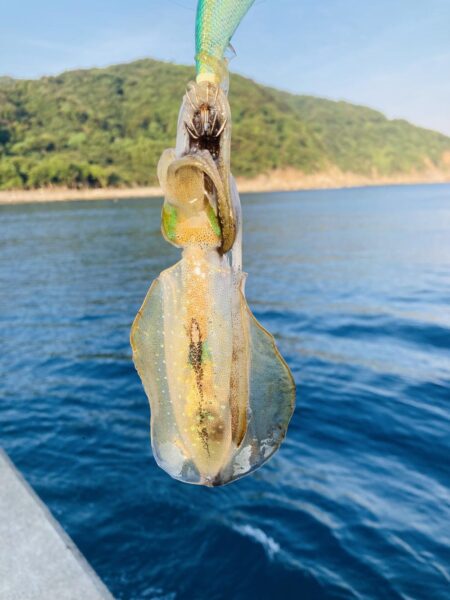 二刀流
