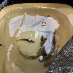 アジぼちぼち イワシ大量発生中