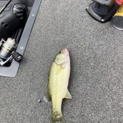 ひさびさの琵琶湖
